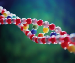 Immagine modellino DNA